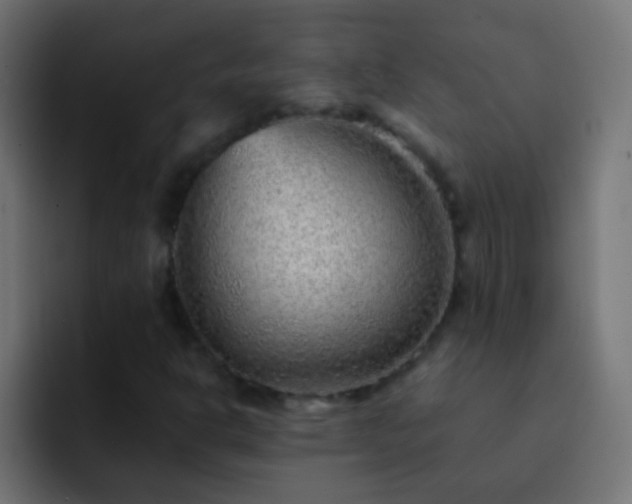 X0000093151302200710031420