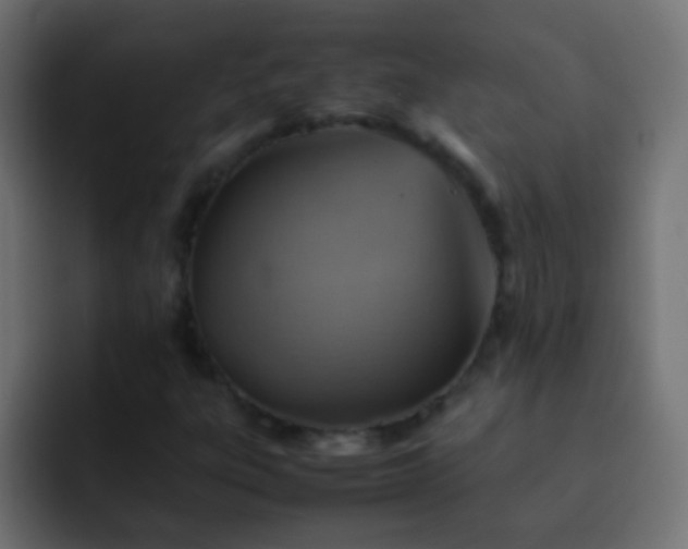 X0000093151303200710031420