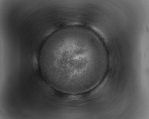 X0000093151305200710031420