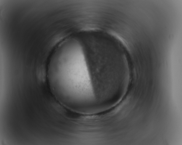X0000093151306200710031420
