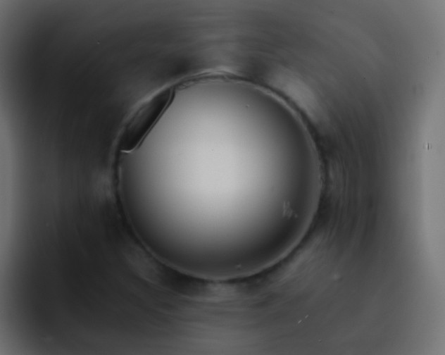 X0000093151308200710031420