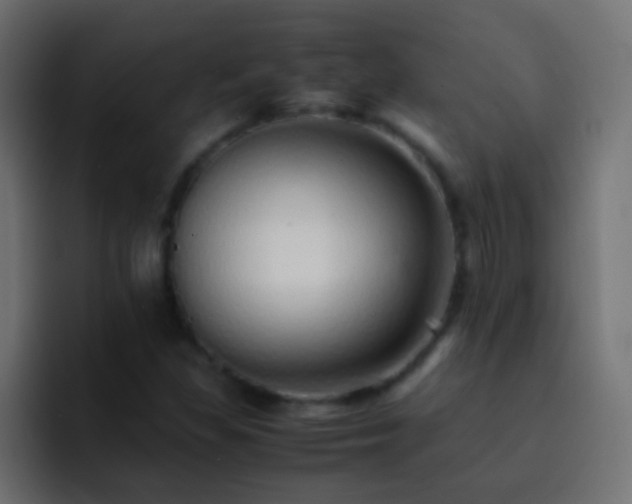 X0000093151309200710031420