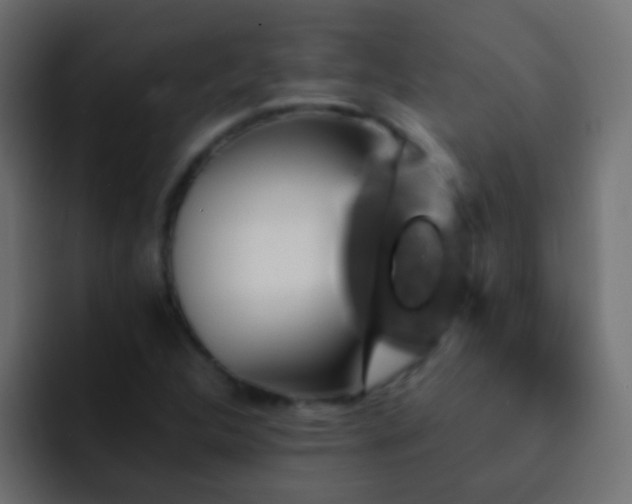 X0000093151312200710031421