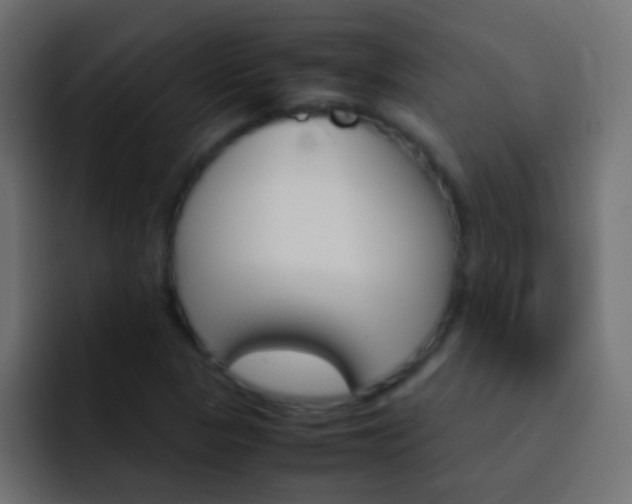 X0000093151313200710031421