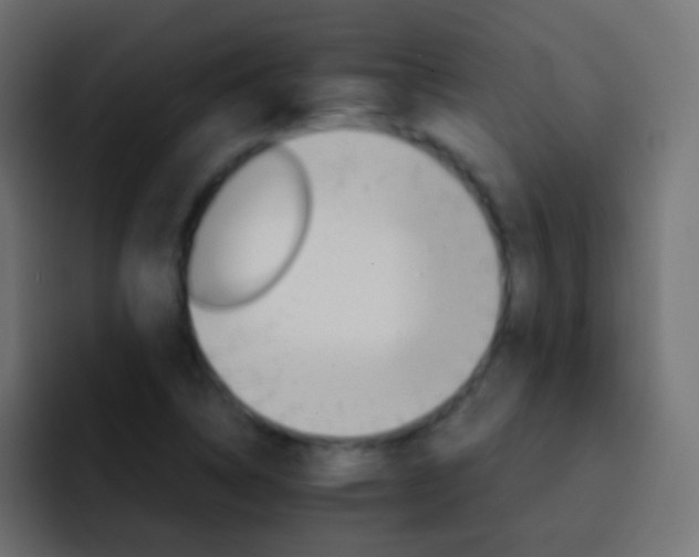 X0000093151314200710031421