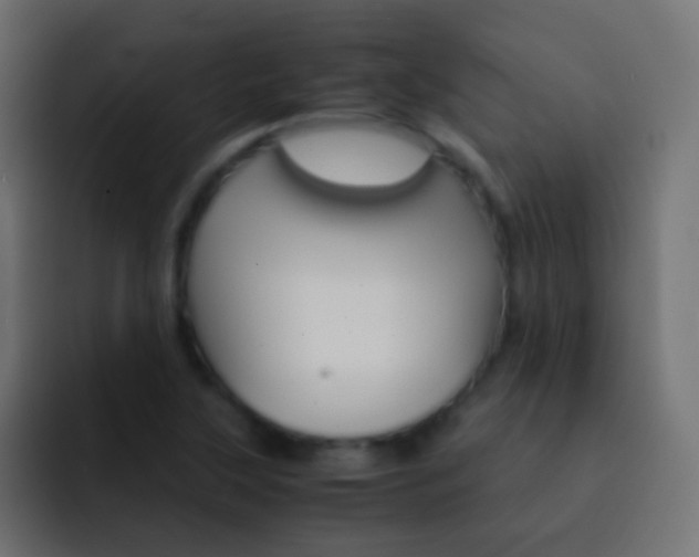 X0000093151315200710031421
