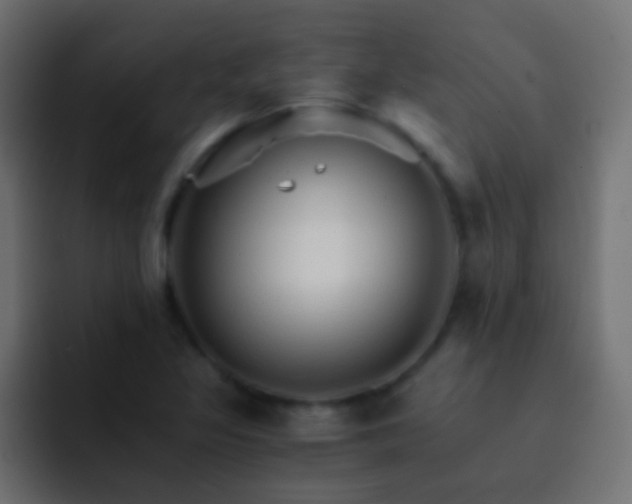 X0000093151317200710031421