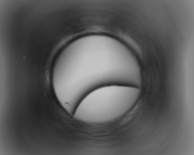 X0000093151318200710031421