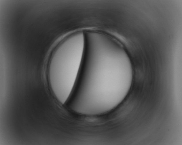 X0000093151319200710031421