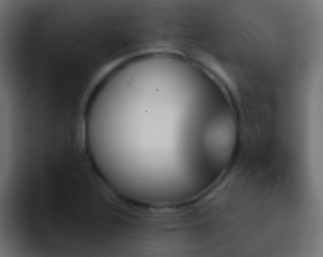 X0000093151320200710031421
