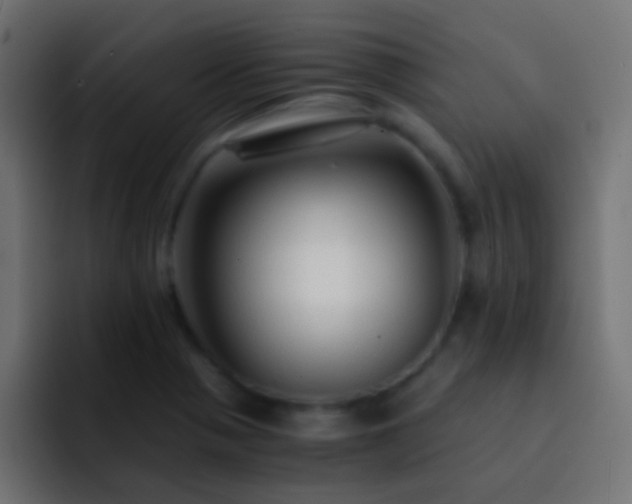X0000093151321200710031421