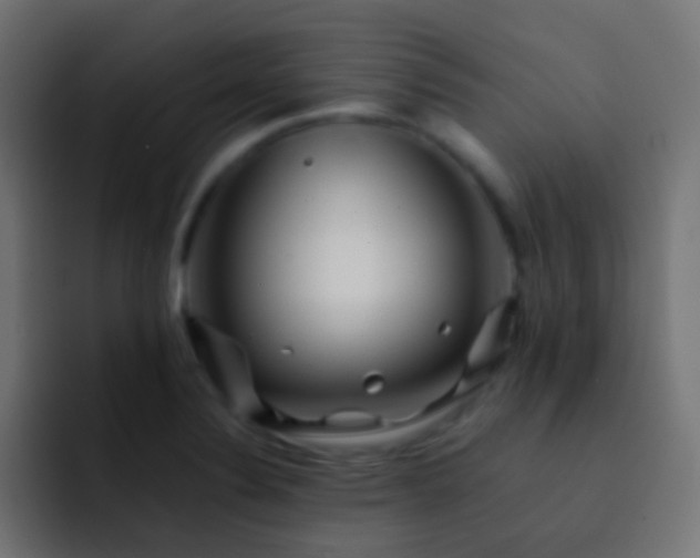 X0000093151324200710031421