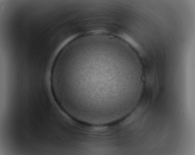 X0000093151325200710031421
