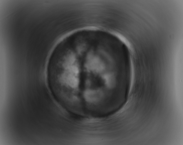 X0000093151327200710031421