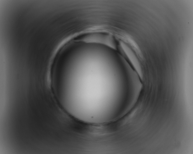 X0000093151328200710031421