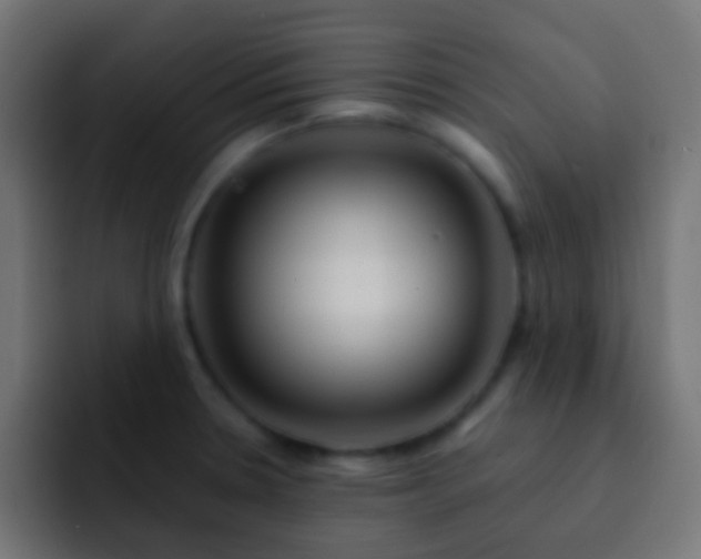 X0000093151330200710031421