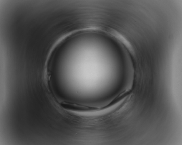 X0000093151332200710031421