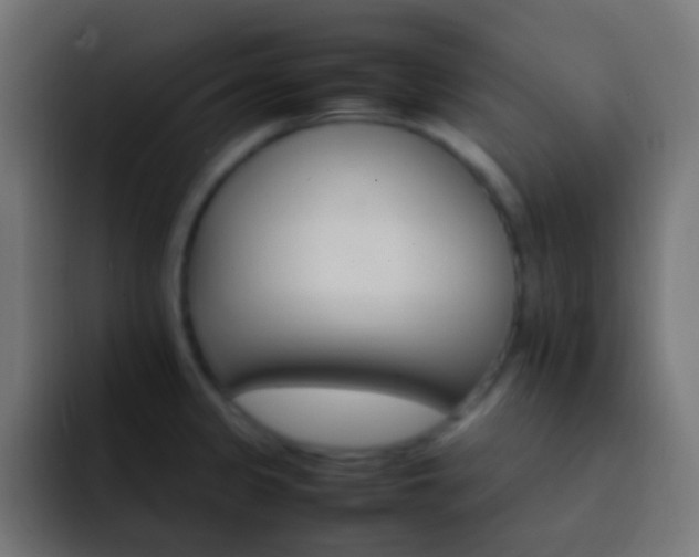 X0000093151333200710031421