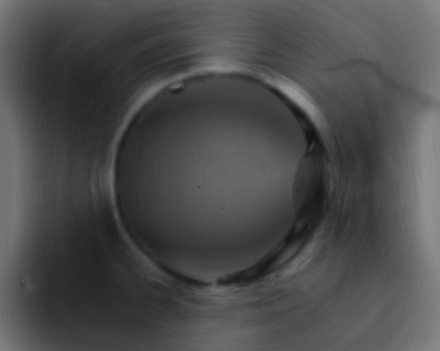 X0000093151334200710031421