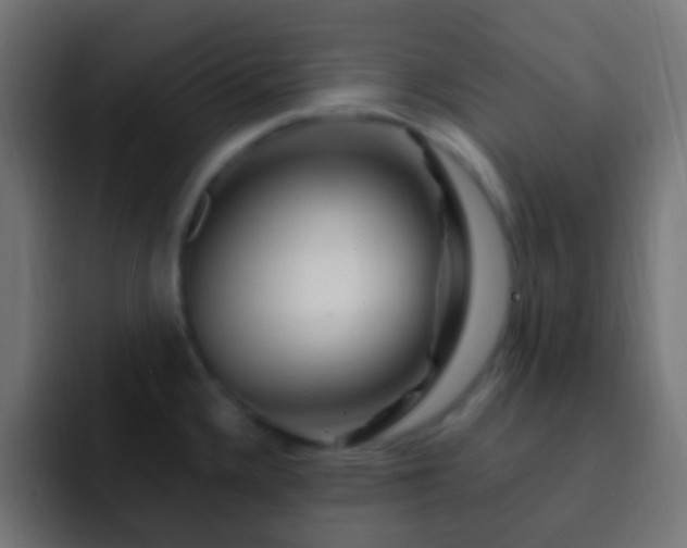 X0000093151336200710031421
