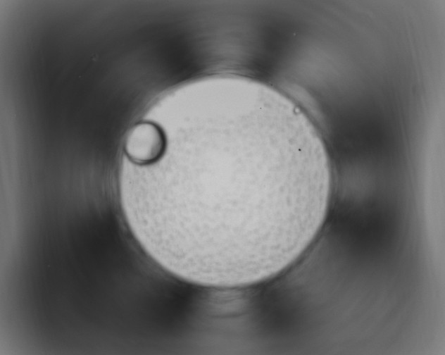X0000093151338200710031421
