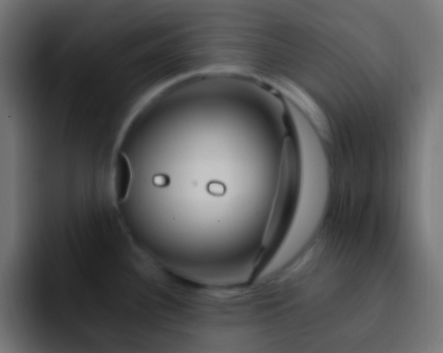 X0000093151340200710031421