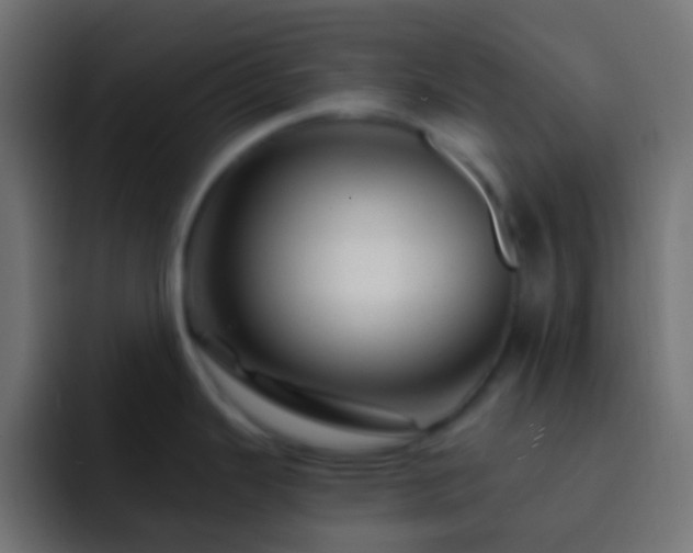X0000093151343200710031421