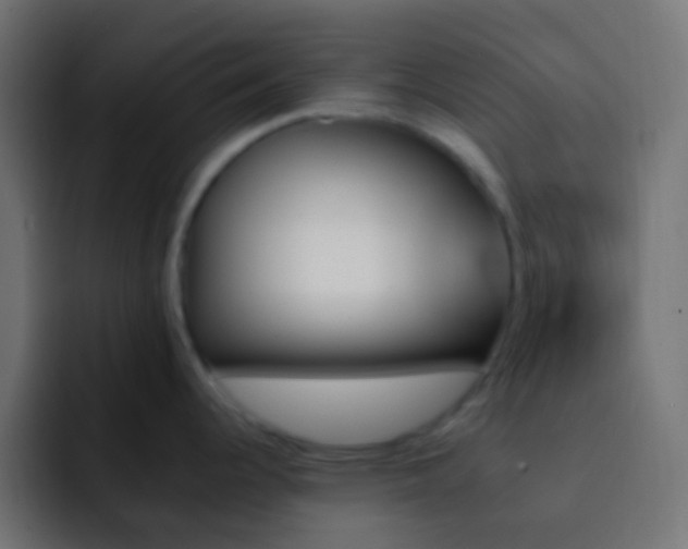 X0000093151344200710031421