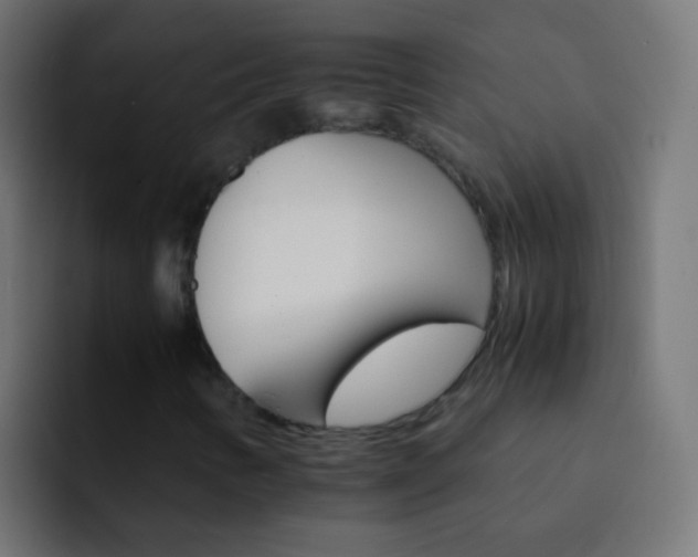 X0000093151346200710031420