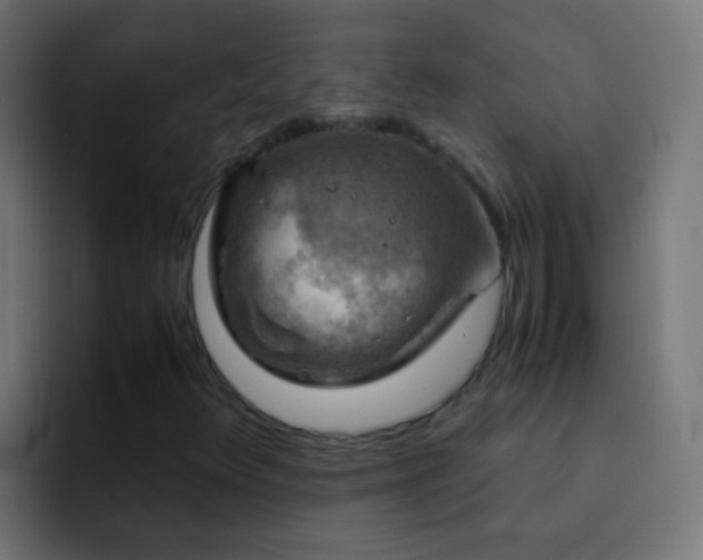 X0000093151348200710031420