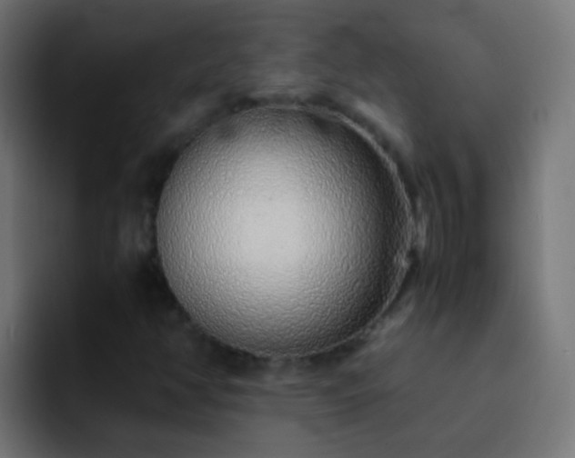X0000093151350200710031420