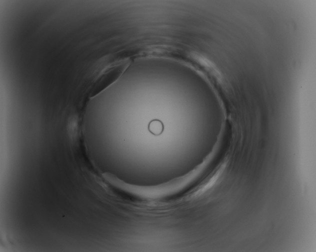 X0000093151353200710031420