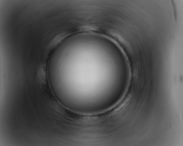 X0000093151354200710031420