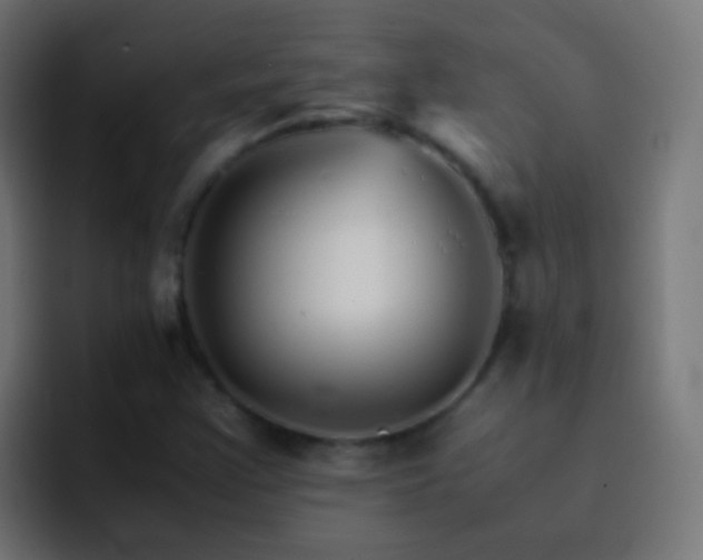 X0000093151355200710031420