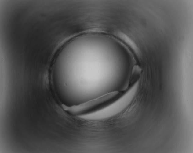 X0000093151356200710031420