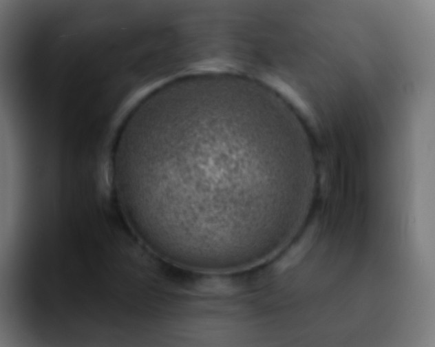 X0000093151358200710031420