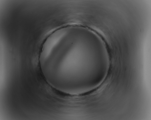 X0000093151359200710031420