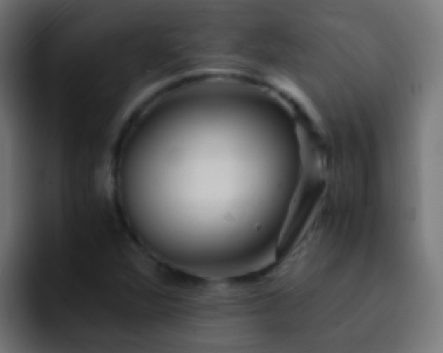 X0000093151360200710031420