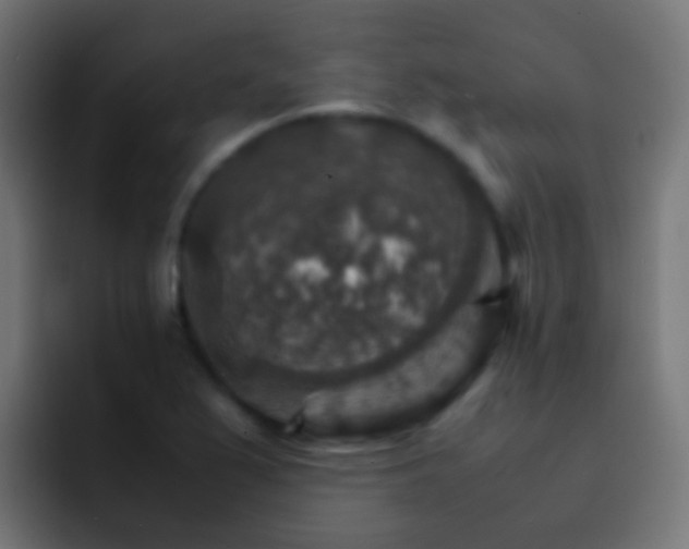 X0000093151367200710031420