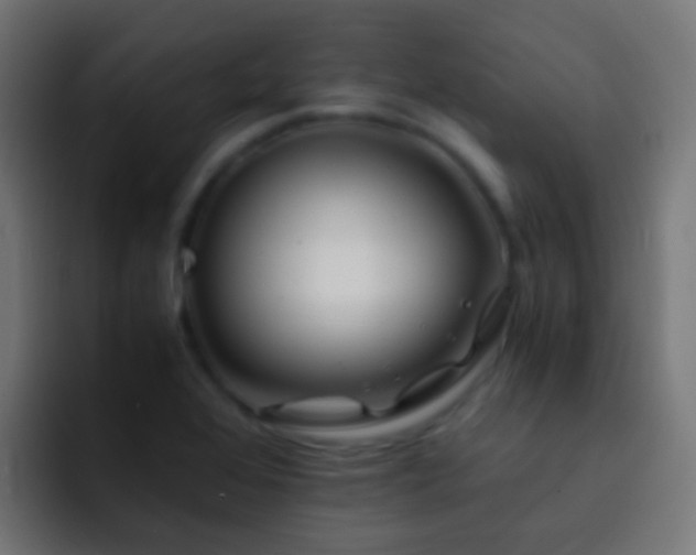 X0000093151368200710031420