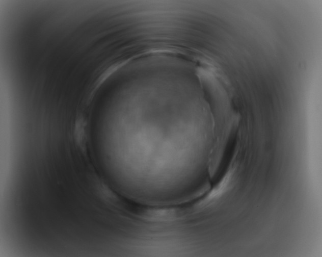 X0000093151369200710031420