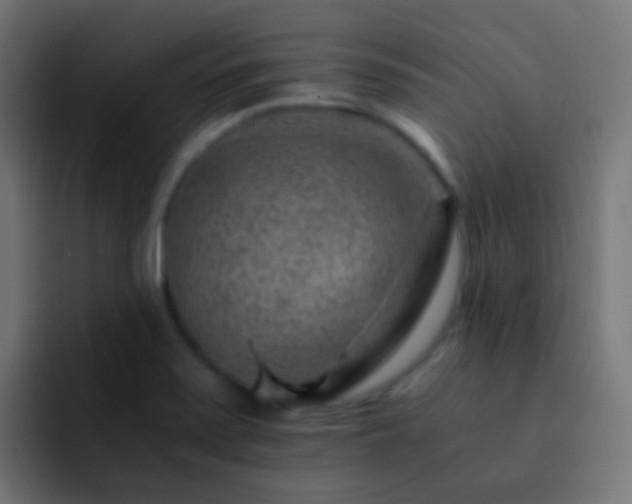 X0000093151371200710031420