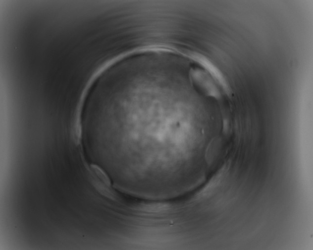X0000093151372200710031420