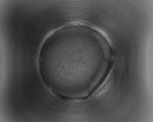 X0000093151373200710031420