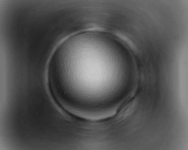 X0000093151375200710031420