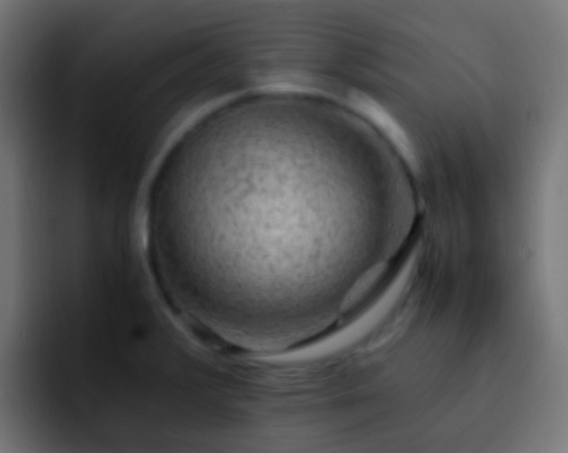 X0000093151376200710031420