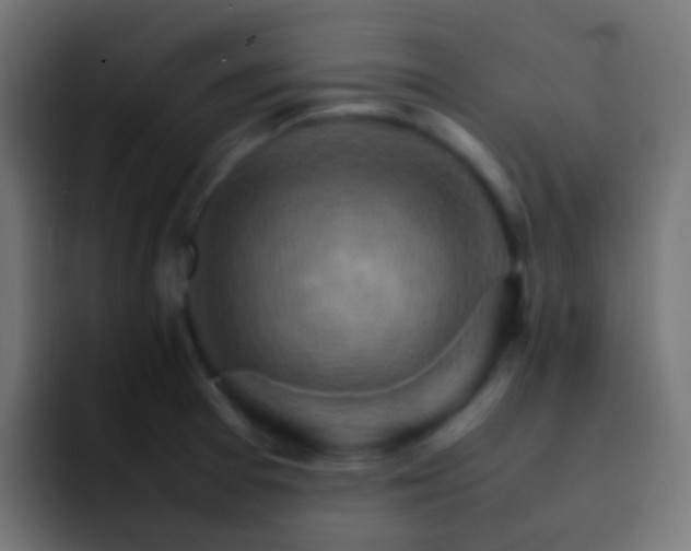 X0000093151377200710031420