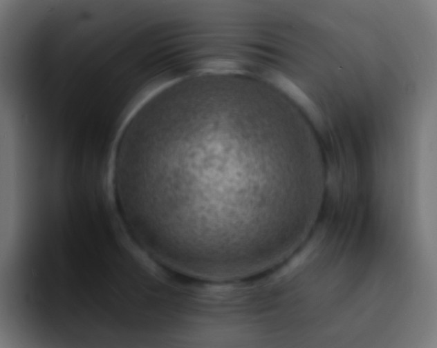 X0000093151378200710031420