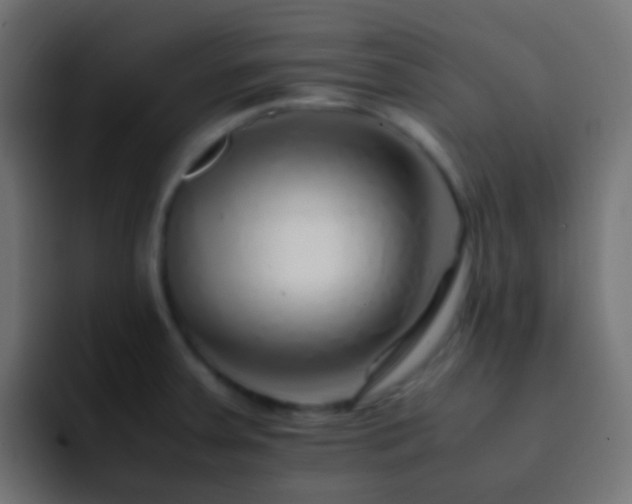 X0000093151379200710031420