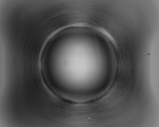 X0000093151380200710031420